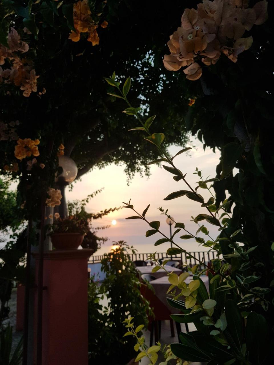 San Carlo - Terrazzo Sul Mare Con Ristorante E Pizzeria Bed & Breakfast Zambrone Exterior photo